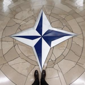 NATO Allies Split: US Policies Test European Partnership